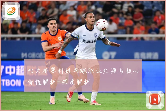 帕夫柳琴科娃网球职业生涯与核心价值解析-深度解析